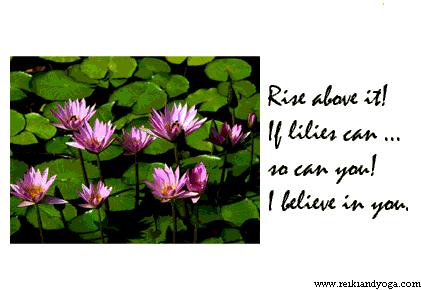 lillies1.jpg