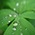 photograph by TLC